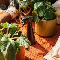 Пульверизатор Fiskars Solid 1071306