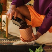 Совок для пересадки рослин Fiskars Solid 1071303