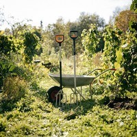 Вила садові великі Fiskars Xact 1070716