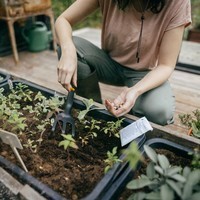 Культиватор Fiskars Solid 1072102