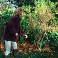 Сучкоріз універсальний садовий Fiskars Solid UP 69 1073082