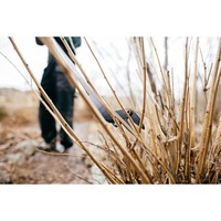 Сучкоріз універсальний садовий Fiskars Solid UP 69 1073082