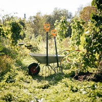 Вила для компосту Fiskars Solid 1070674