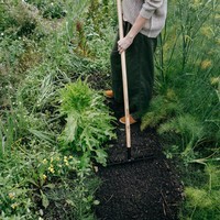 Фото Граблі Fiskars Solid 1011600