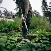 Фото Культиватор Fiskars Solid 1011614