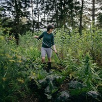 Мотика-розпушувач від бур'янів Fiskars Ergonomic 1077111