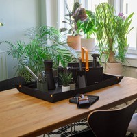 Серветка для догляду за кімнатними рослинами Fiskars 1075318