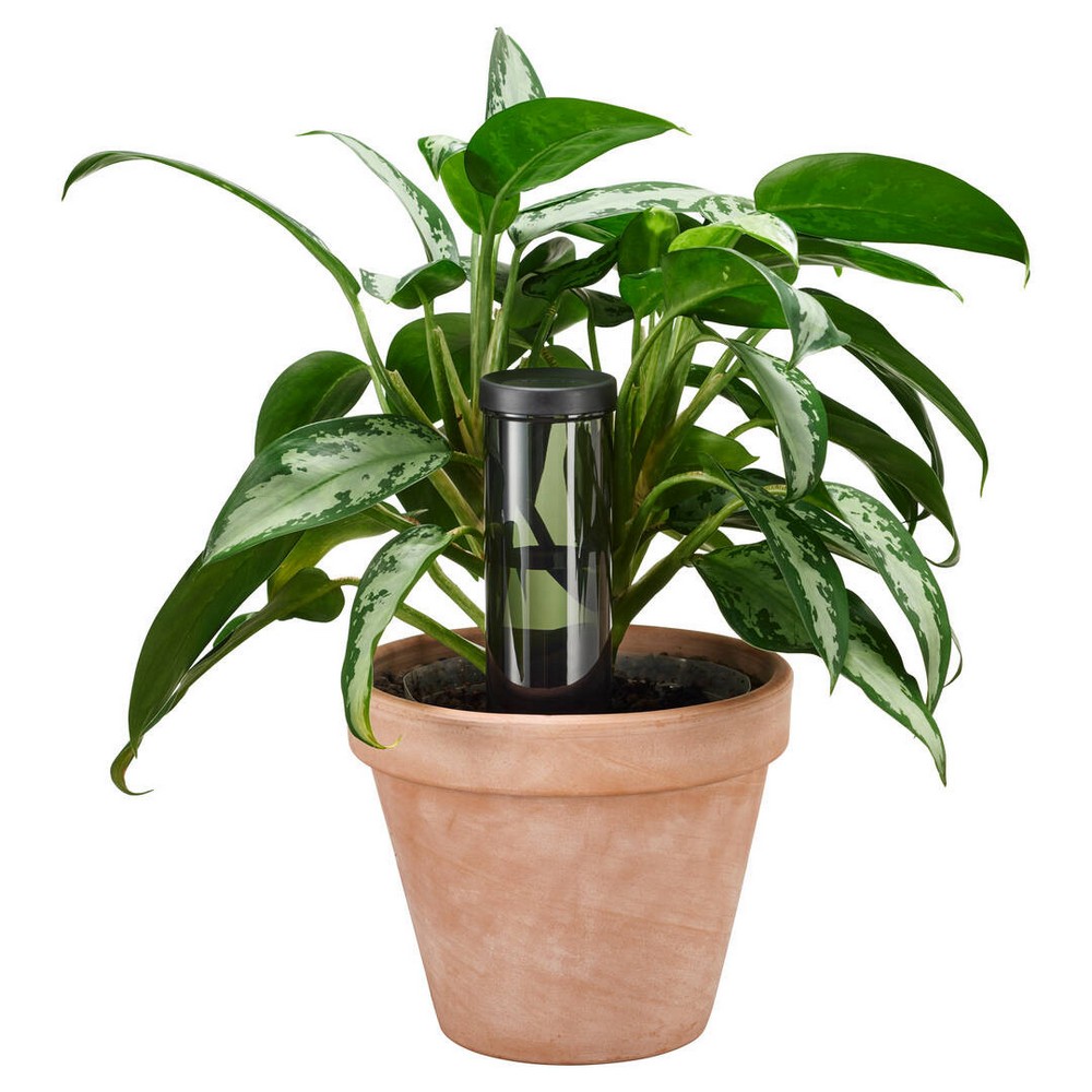 Пристрій для поливу кімнатних рослин Fiskars 1075380