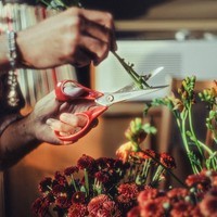 Ножиці універсальні для шульги Fiskars 21 см 1075037