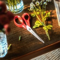 Ножиці універсальні для шульги Fiskars 21 см 1075037