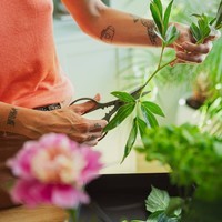 Ножиці для кімнатних рослин Fiskars 1075316