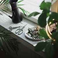 Ножиці для кімнатних рослин Fiskars 1075316