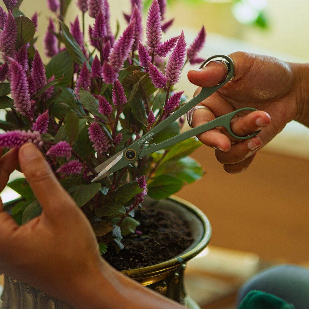 Ножиці для обрізання кімнатних рослин Fiskars 1075315