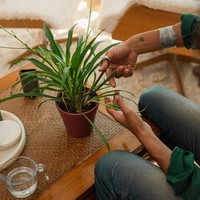 Ножиці для обрізання кімнатних рослин Fiskars 1075315