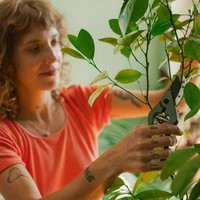 Секатор для кімнатних рослин Fiskars 1075314