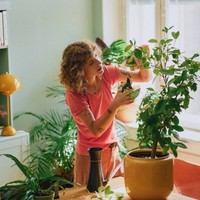 Секатор для кімнатних рослин Fiskars 1075314