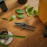 Секатор для кімнатних рослин Fiskars 1075314